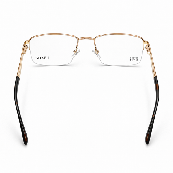 LEXUS METALLIC EYEWAER FRAME LE549