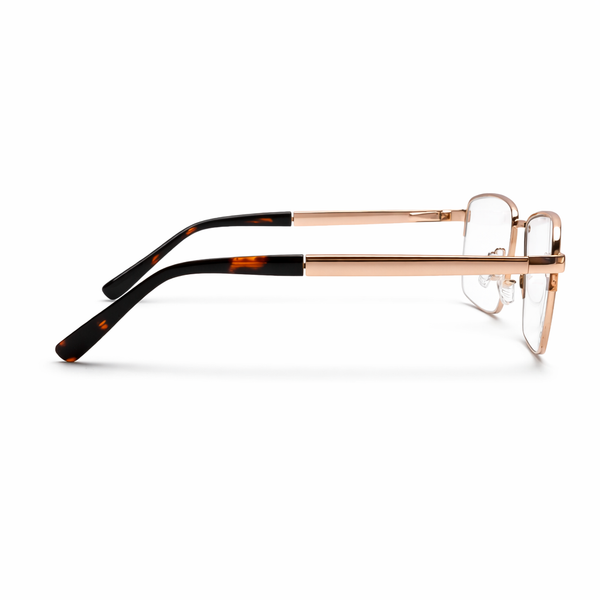 LEXUS METALLIC EYEWAER FRAME LE549